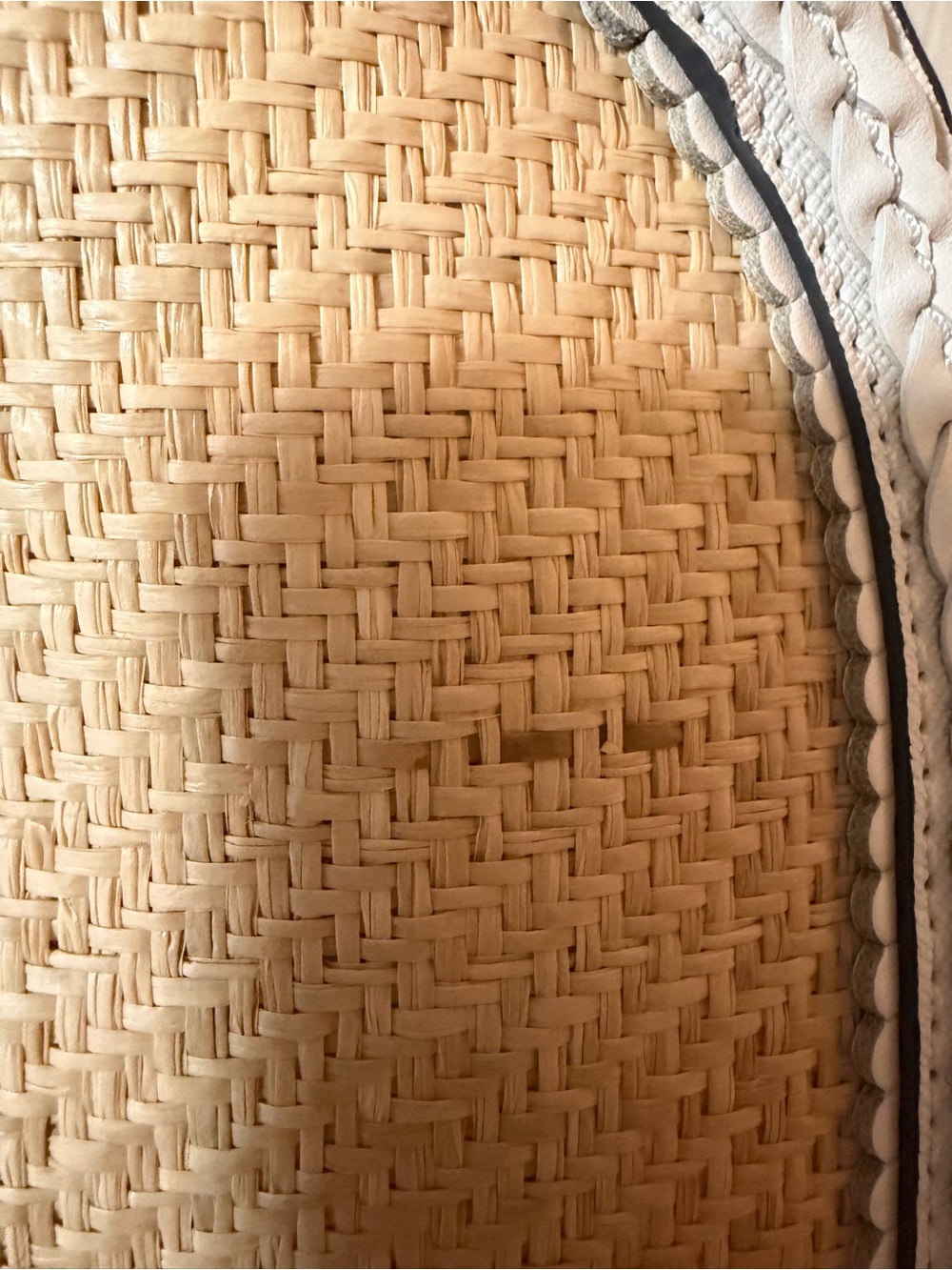 Kate Spade New York Reiley Straw Dome Crossbody Bag - Picture 5 of 13